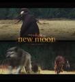 Laurent , The Wolves & Bella Promo Poster - twilight-series fan art