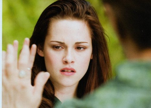  My fave pics of the New Moon Movie Companion
