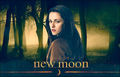 New Moon art. - twilight-series fan art
