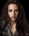 New Moon official personal posters - twilight-series photo