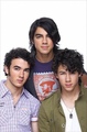 PR Purposes (Holland) by William Rutten  - the-jonas-brothers photo