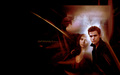 the-vampire-diaries-tv-show - Stefan & Elena wallpaper