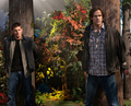 Supernatural - Episode 5.05 - Fallen Idol - Promotional Photos  - supernatural photo