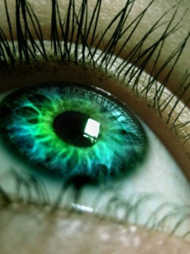  The green eyes