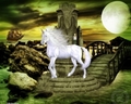 Unicorn and Full Moon - unicorns photo