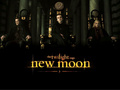 Volturi Promo Poster # 2 - new-moon-movie fan art