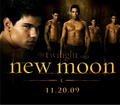 Wolf Pack Promo Poster - new-moon-movie fan art