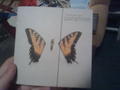 brand new eyes deluxe box set - paramore photo