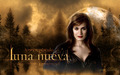 twilight-crepusculo - the cullens wallpaper