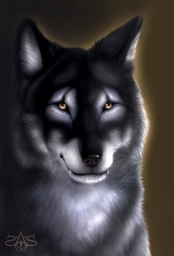  serigala, wolf in the shadows