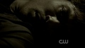 1x05 You're Undead to Me - the-vampire-diaries screencap