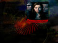 the-vampire-diaries-tv-show - Elena, Damon and Stefan wallpaper