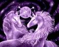 Purple Unicorns - unicorns photo