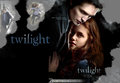 Twilight/New moon - twilight-series photo