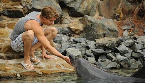 will and a dolphin