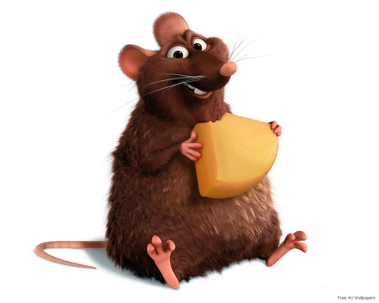Animated Rats And Mice, Really Cute? Poll Results - Animalation - Fanpop