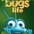  A Bug's Life
