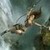  Lara Croft (game)