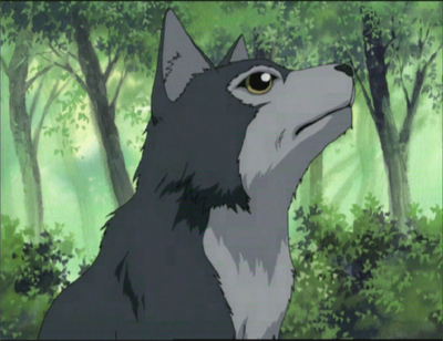 Favourite type of Anime Animal?? (Add your own) Poll Results - anime