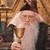  Professor Dumbledore