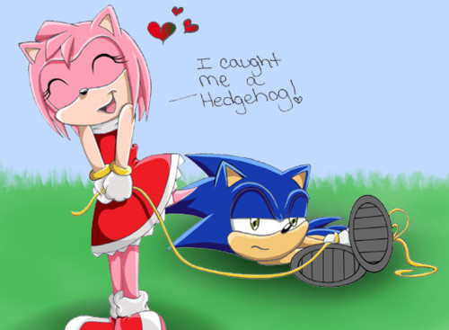 which would you sonic killed by