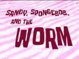  in the episode "Sandy, SpongeBob, and the Worm", instead of sandy beating up the worm, what did sandy beat up instead?