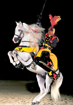  In the attraction Medieval Times, what breed of horses do they use?