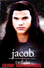  what did bella zei to compliment jacob's story telling?