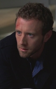 true or false T.J thyne was on a show that david stared in