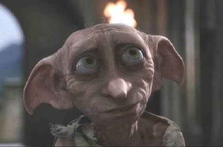  What did Dobby steal from the potion masters chambers?