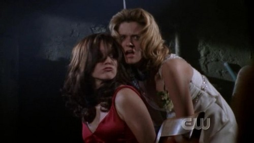 Peyton: So, あなた told someone あなた were coming? Brooke: No at least I came! Peyton: あなた should have told _______ !