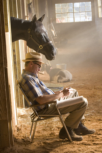 MOVIE ABOUT HORSES : Which movie is this picture from ?