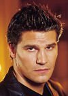  Which movie/show has David Boreanaz NEVER been in and/or spoken a character for?