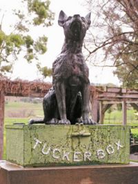  Where would Ты find the Dog on the Tuckerbox?