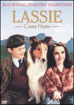  What breed of dog is Lassie from the famous Lassie films?