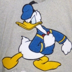  What is Donald Duck's middle name?