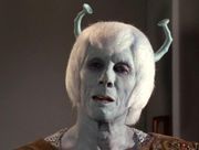  What race probably descended from Andorians?