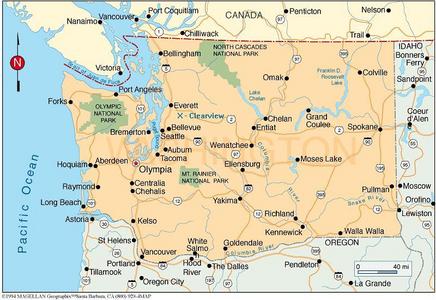  What is the state bunga of Washington?