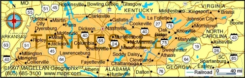  What is the state цветок of Tennessee?