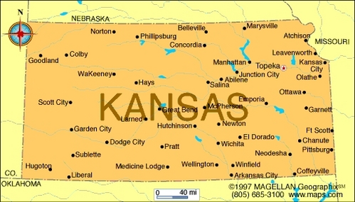 What is the state flower of Kansas?
