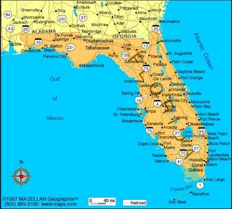  What is the state 花 of Florida?