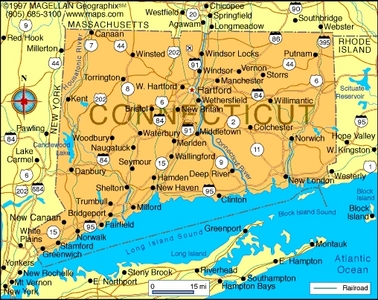What is the state flower of Connecticut?