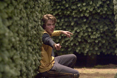  What was Cedric's wand made of?