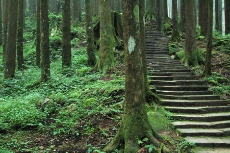  PASSPORT FUN: After spending the araw in the bustling city of Chiayi, you take a train ride to Alishan National Park. What country are you in?