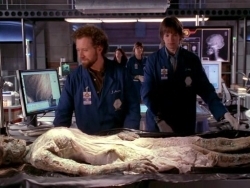  In 'A Man on Death Row', when Zack and Hodgins were racing beetles, what were their names?