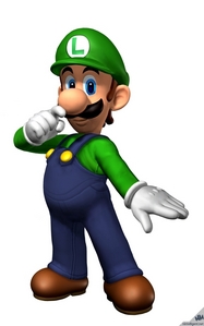  What an did Luigi debut?