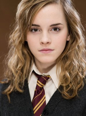  Hermione Granger Weasley is the wife of who?