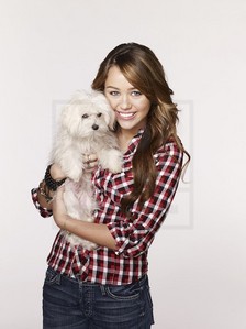  what is miley favourit color?