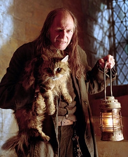 What is the correct term for a non-magical person who is born to at least one Magical parent?  (Clue: Filch is one.)