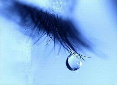 Who said : “Nobody deserves your tears, but whoever deserves them will not make you cry.”
